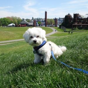 Meet your Posher, Crystal